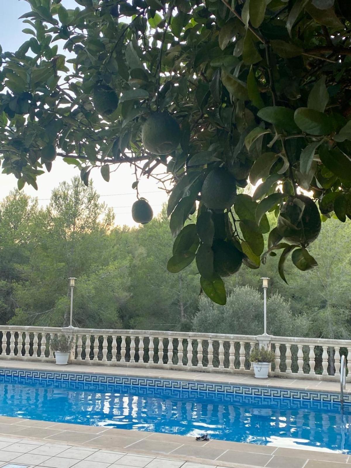 La Casa Dels Boscos Villa Tarragona Eksteriør bilde